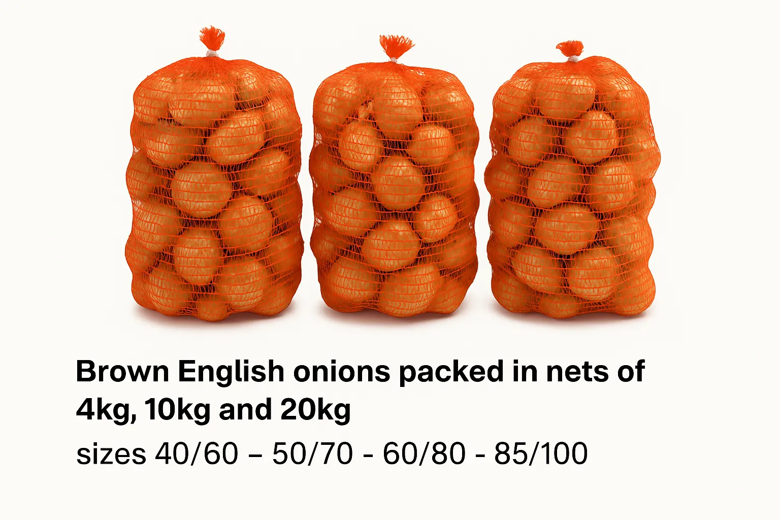 Net Packed Onions in Orange Mesh